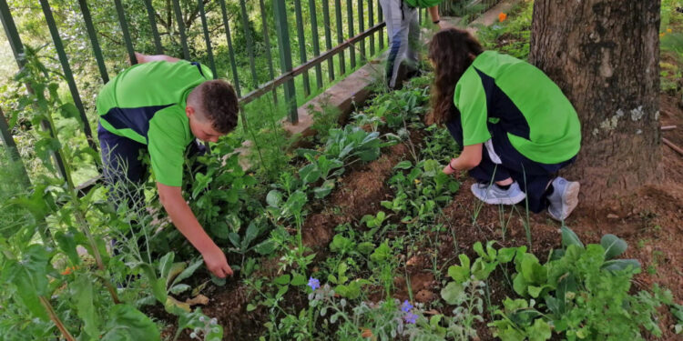 Escolas vilaverdenses distinguidas