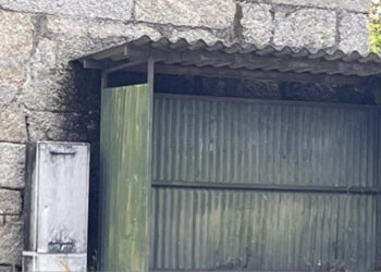 Há falta de abrigos em Santo Tirso