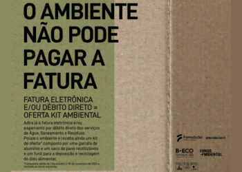 “O ambiente não pode pagar fatura”
