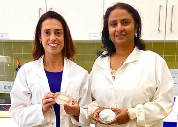 Contaminação com nanoplásticos e metais