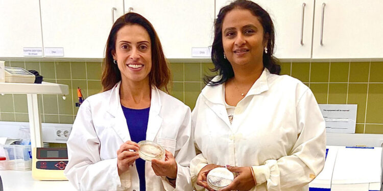 Contaminação com nanoplásticos e metais