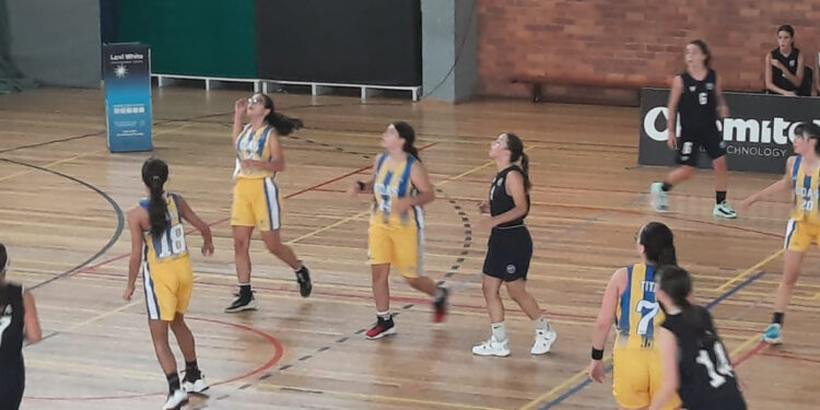 Equipas séniores com vitórias