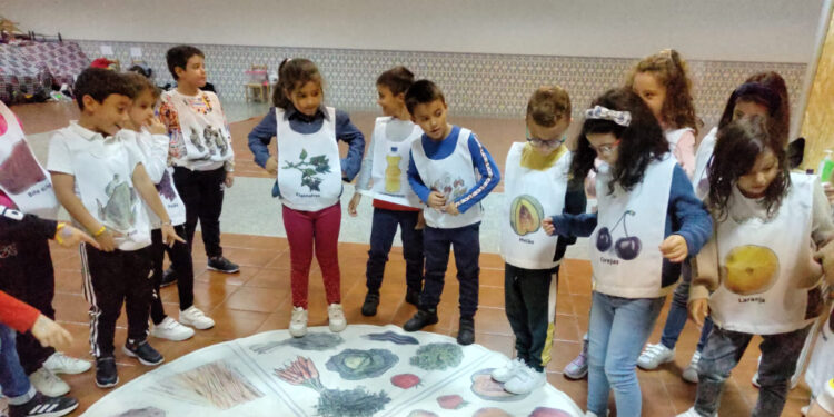 Alimentação saudável