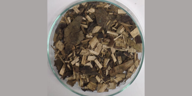 Resíduos e Fungos usados na construção