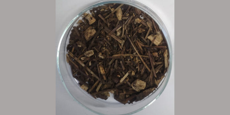 Resíduos e Fungos usados na construção