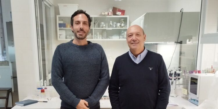 Resíduos e Fungos usados na construção