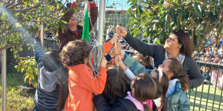 EB de Bairro de verde