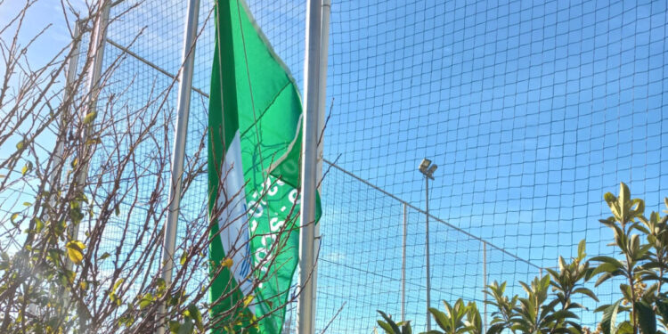 EB de Bairro de verde