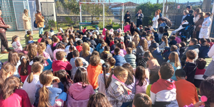 EB de Bairro de verde