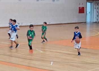 Formação de Basquetebol