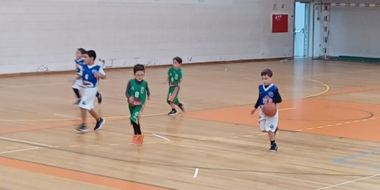 Formação de Basquetebol