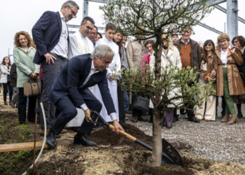 A pá de Mário Passos