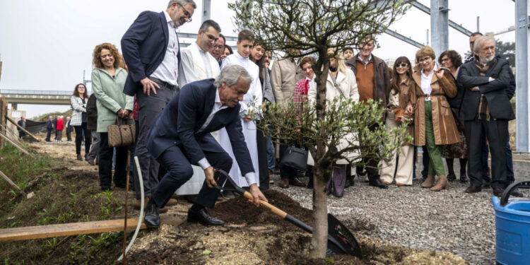 A pá de Mário Passos