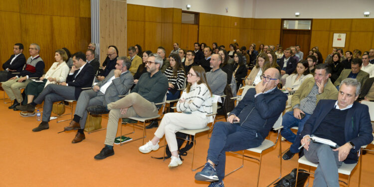 Competição pela sustentabilidade