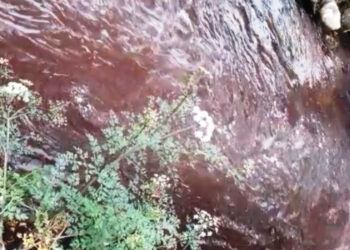 Guarda-rios no concelho