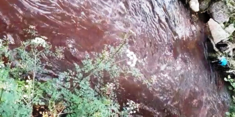 Guarda-rios no concelho