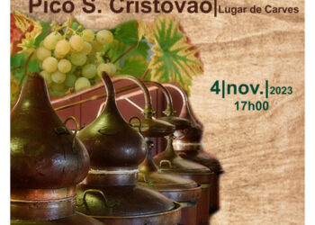 Vila Verde: Festa das Colheitas