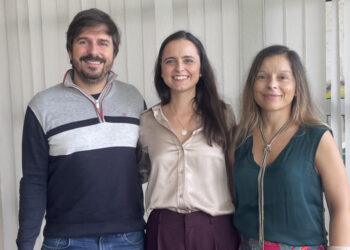 Desenvolver parto inovador