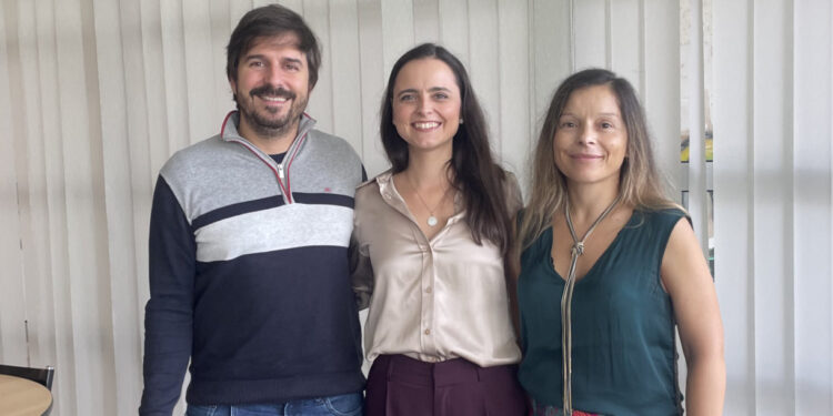 Desenvolver parto inovador