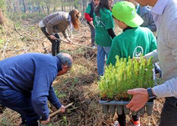 Vila Verde: Defesa das florestas