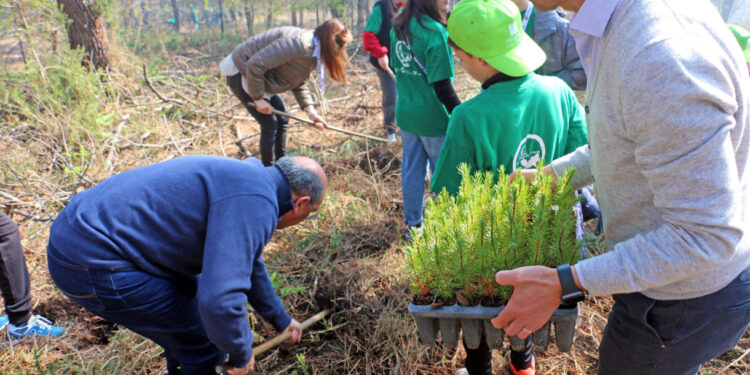 Vila Verde: Defesa das florestas