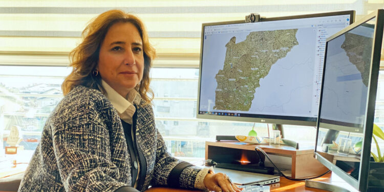 Modernização de Serviços Sociais