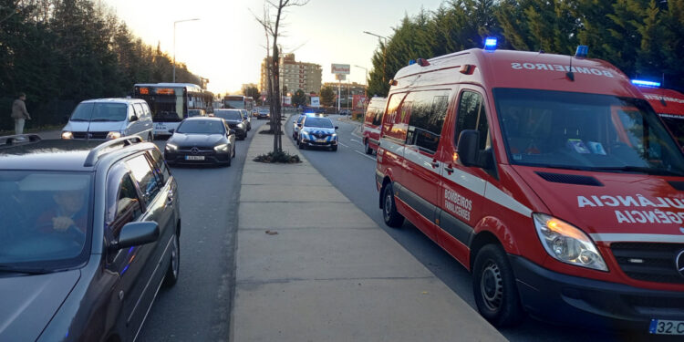 ALERTA: Atropelamento junto ao CITEVE