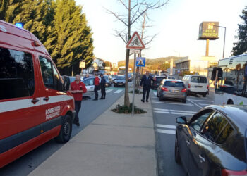 ALERTA: Atropelamento junto ao CITEVE