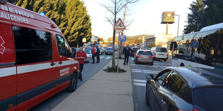 ALERTA: Atropelamento junto ao CITEVE