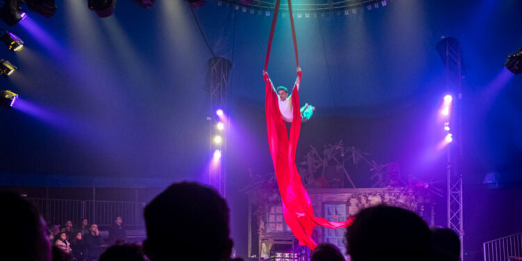 Lugar do Natal com Circo de Papel