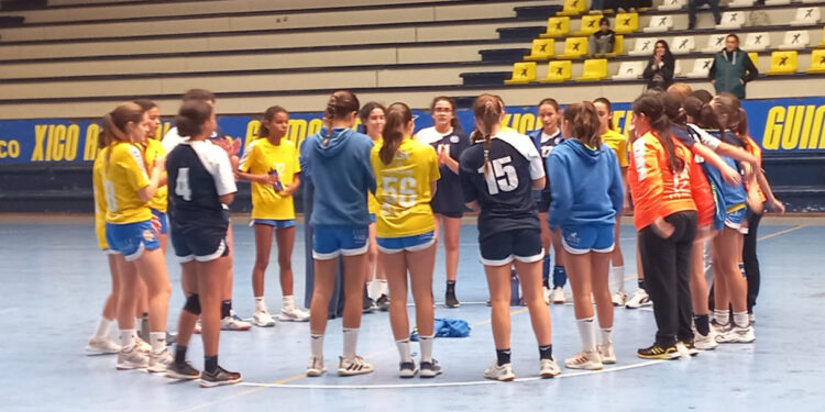 FAC: Andebol em ação