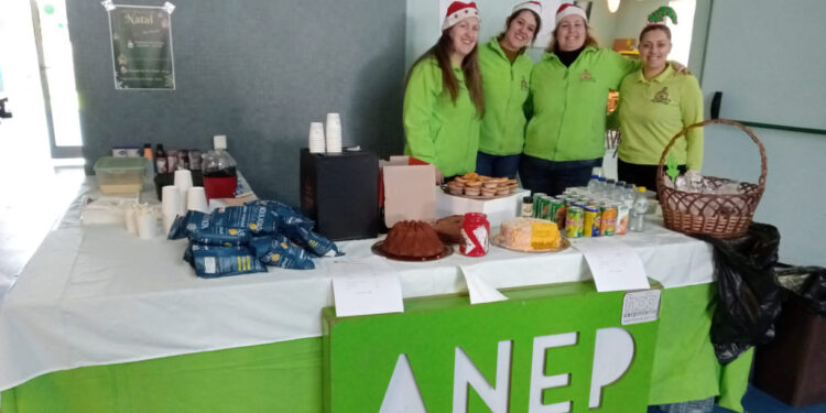 Delães: Mercadinho na Escola