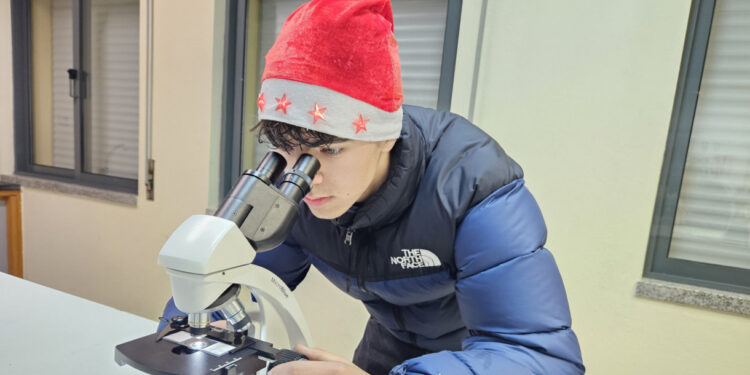 Natal com momentos culturais