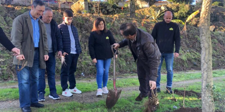 Outiz: Árvores plantadas