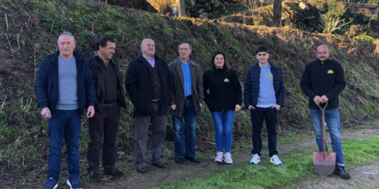 Outiz: Árvores plantadas