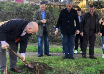 Outiz: Árvores plantadas