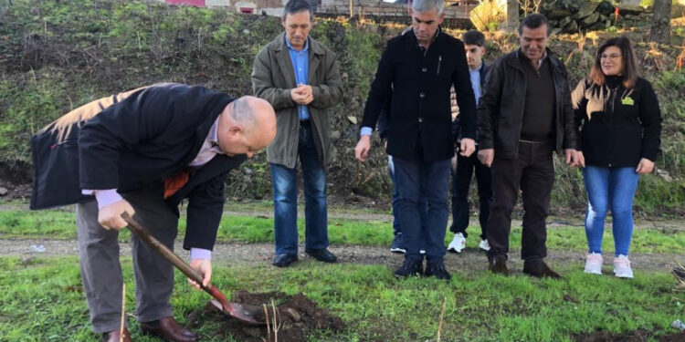 Outiz: Árvores plantadas