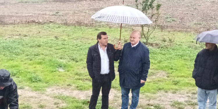 Outiz: Árvores plantadas