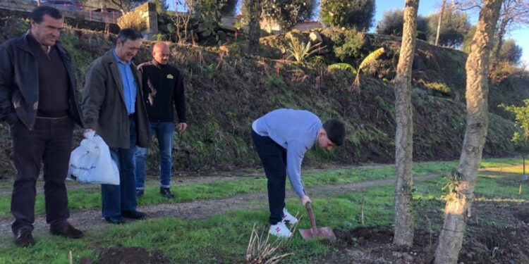 Outiz: Árvores plantadas