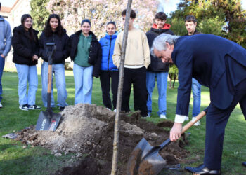 Famalicão planta ‘Árvores da Liberdade’