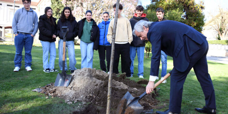 Famalicão planta ‘Árvores da Liberdade’