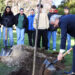 Famalicão planta ‘Árvores da Liberdade’