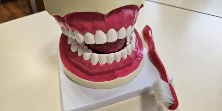 “Dia do Sorriso”