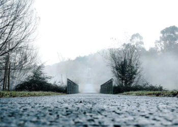 Página de Mário Passos