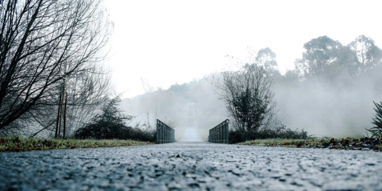 Página de Mário Passos