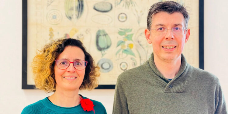 Universidade de Coimbra lidera projeto