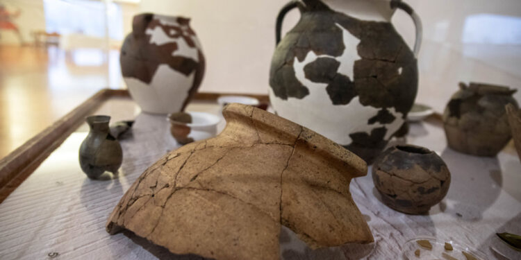 “10 Anos de Tesouros”