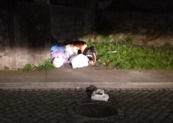 Famalicão, lixo derramado na rua