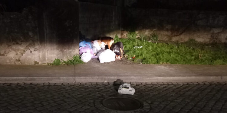 Famalicão, lixo derramado na rua