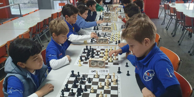 José e Francisco são campeões